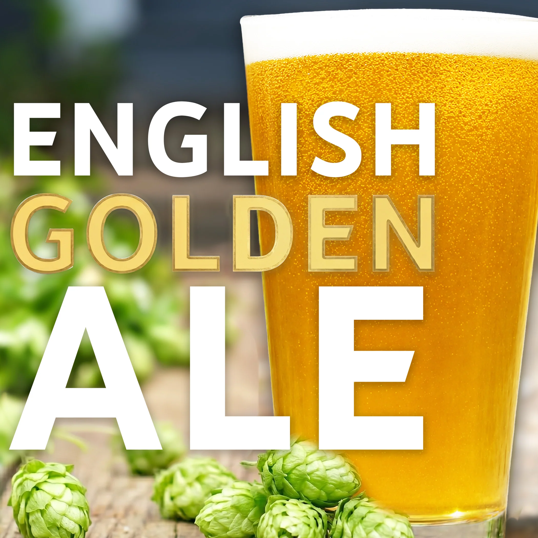 Beer Making Kits